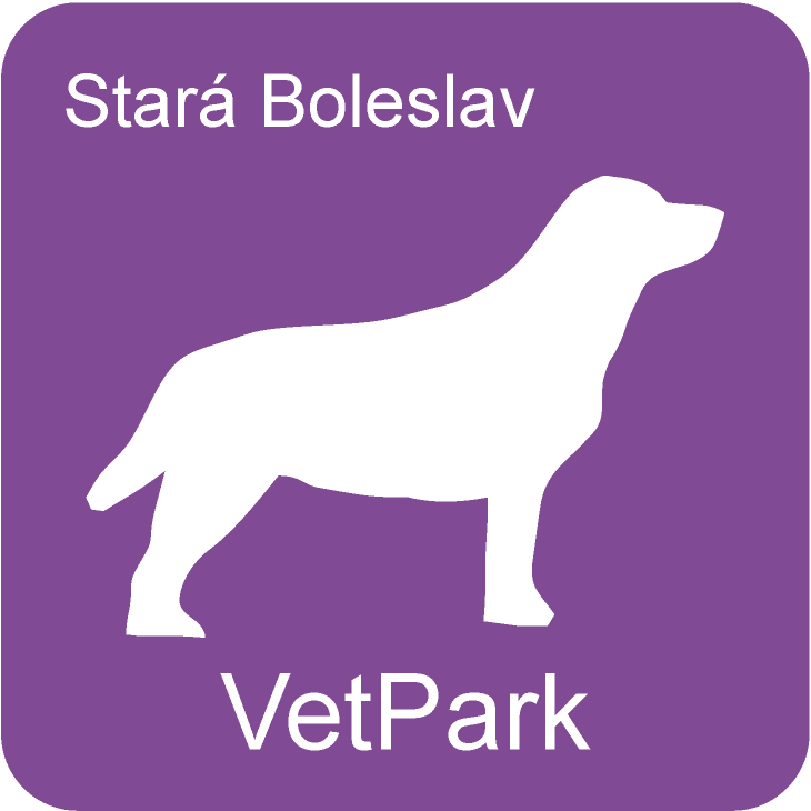 Star Boleslav